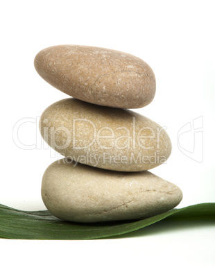 stacked stones on base of green leafs