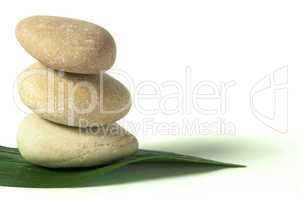 stacked stones on base of green leafs