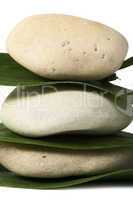 stacked stones on base of green leafs