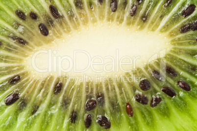 kiwi fruit close up background