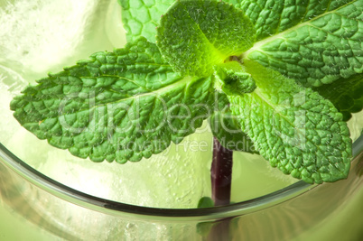 green cocktail with cubes ice