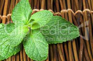 mint leaves on wooden base