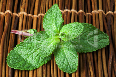 mint leaves on wooden base