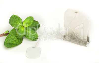 tea bag and fresh mint