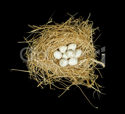 organic white eggs in straw nest