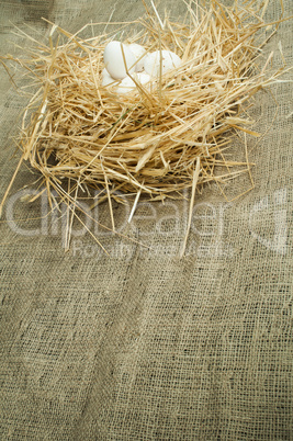 organic domestic white eggs in straw nest