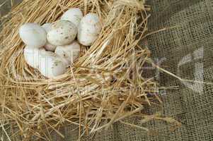 organic domestic white eggs in straw nest