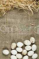 organic white domestic eggs on sackcloth and straw