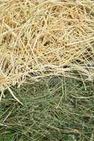 straw and hay close up background