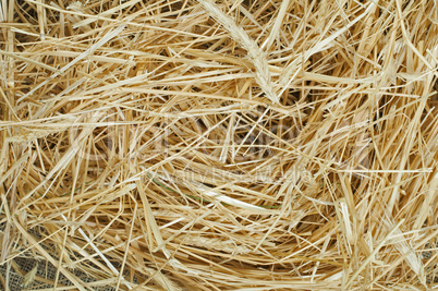 straw close up background