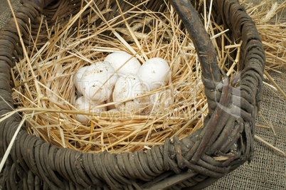 organic white domestic eggs in vintage basket