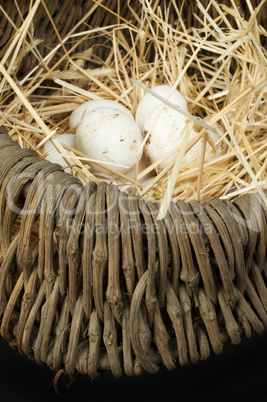 organic white domestic eggs in vintage basket