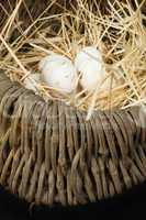 organic white domestic eggs in vintage basket