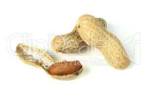 raw peanuts in shells and shelled peanuts