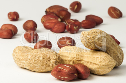 raw peanuts in shells and shelled peanuts