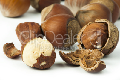 closeup raw hazelnuts white isolated