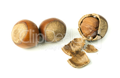 closeup raw hazelnuts white isolated