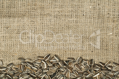 closeup raw sunflower seeds on burlap