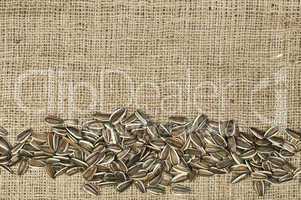 closeup raw sunflower seeds on burlap