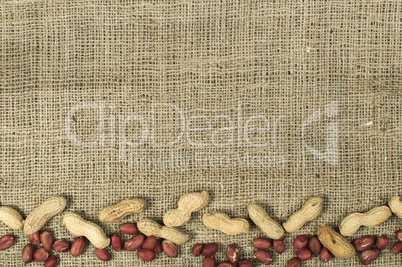 closeup peanuts on burlap