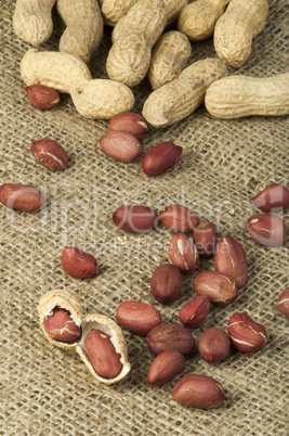 closeup peanuts on burlap