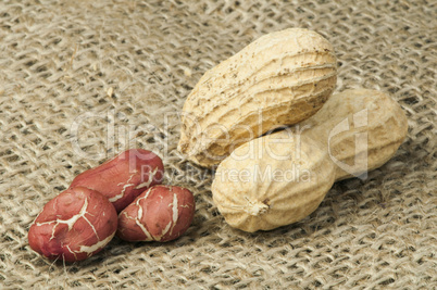 closeup peanuts on burlap