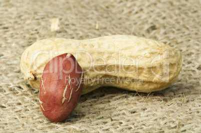 closeup peanuts on burlap