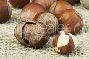 closeup raw hazelnuts on burlap