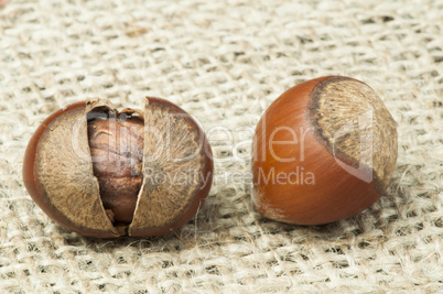 closeup raw hazelnuts on burlap
