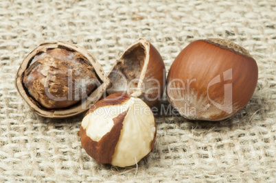 closeup raw hazelnuts on burlap