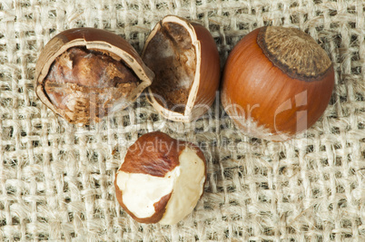 closeup raw hazelnuts on burlap