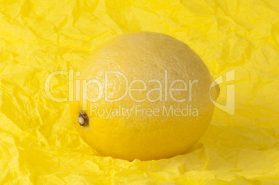 lemon on a yellow background