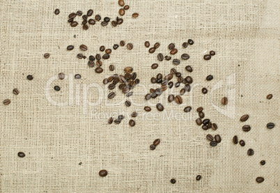 coffee beans