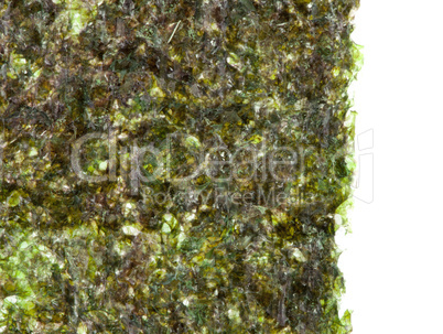 green algae nori