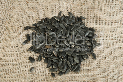 sunflower seed