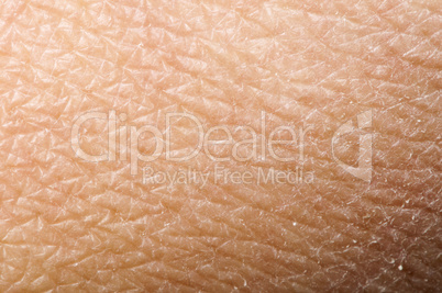 human skin