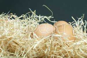 raw eggs in straw