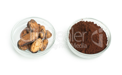 cocoa beans and cocoa powder