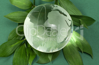 glass globe on green leaf