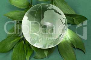 glass globe on green leaf