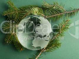 glass globe on green fir branches