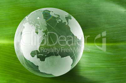 glass globe on green leaf