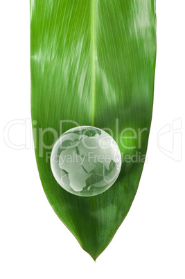 glass globe on green leaf