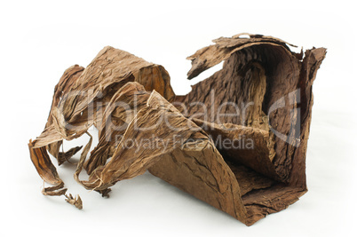dried tobacco leaves