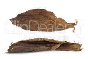 dried tobacco leaves