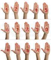 children's hands with numbers