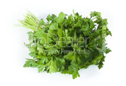 fresh bunch of green parsley