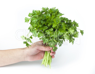 fresh parsley