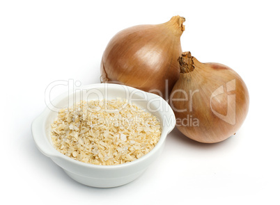 mature onion and bowl with dried onion powder