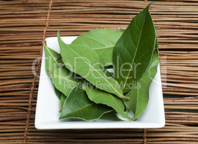 bay leaf spice